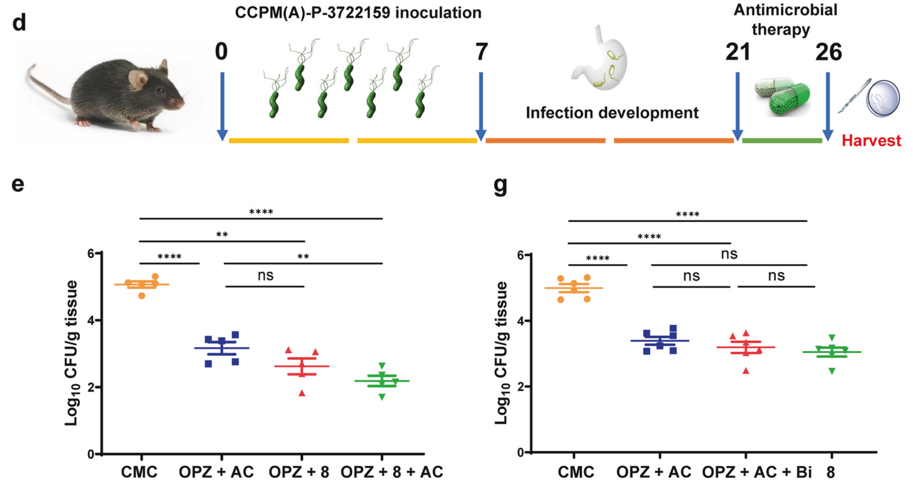 1721116150873009.png 微信圖片_20240710133548.png
