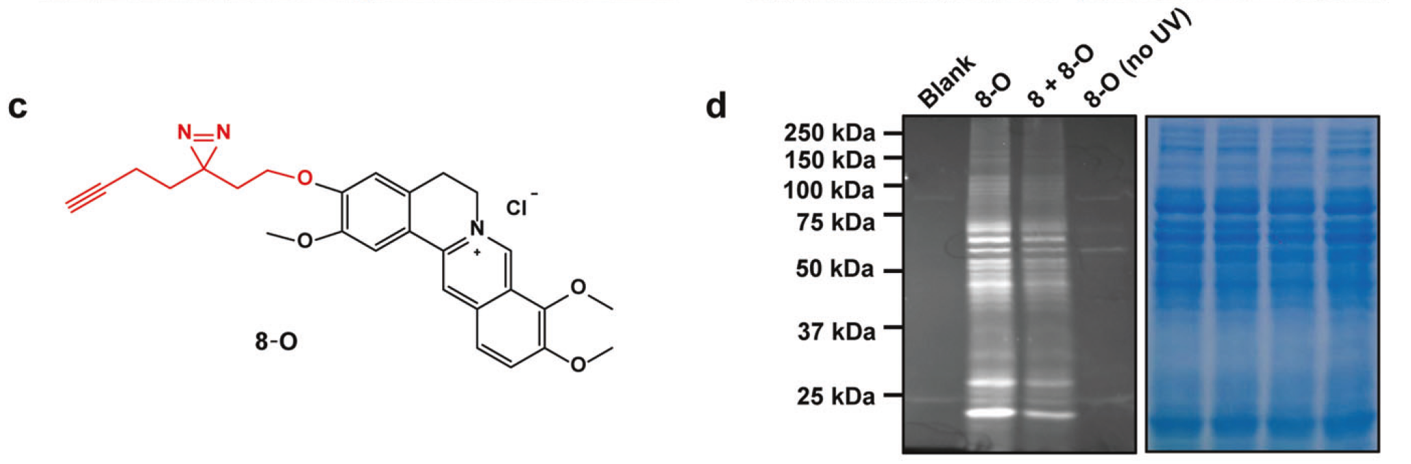 1721116230862327.png 微信圖片_20240710134255.png