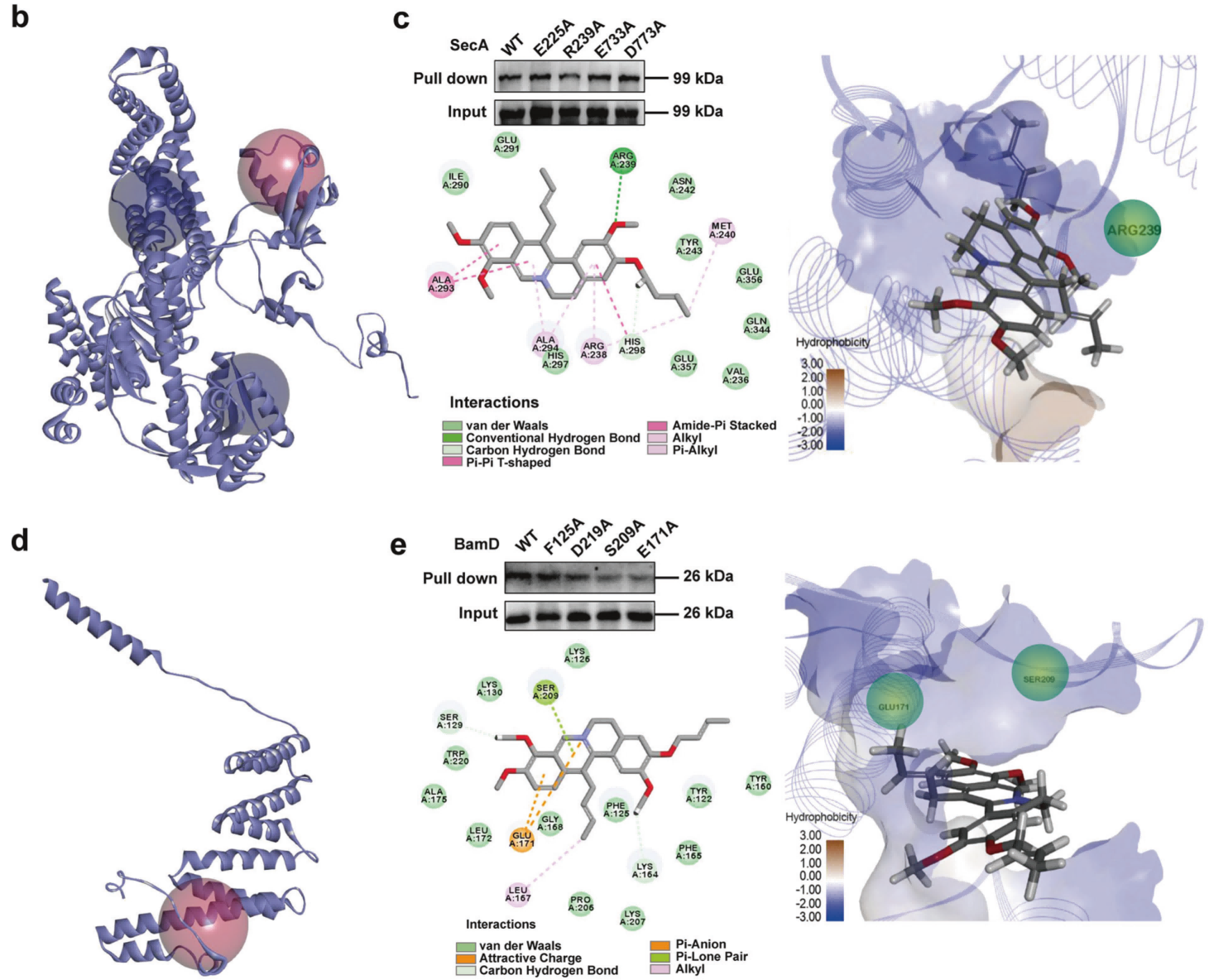 1721116367540593.png 微信圖片_20240710134733(1).png