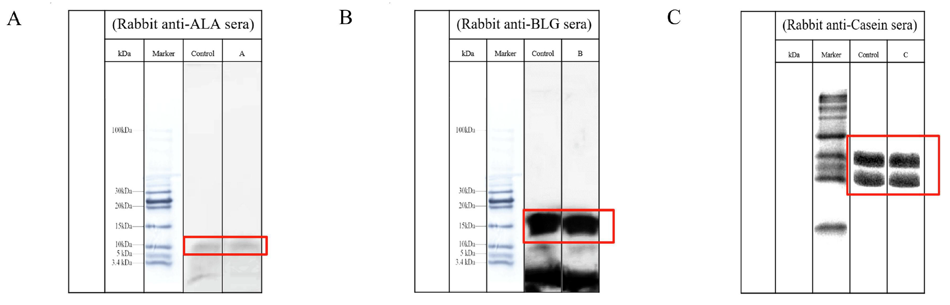 1721789395407415.png 微信圖片_20240510105830.png