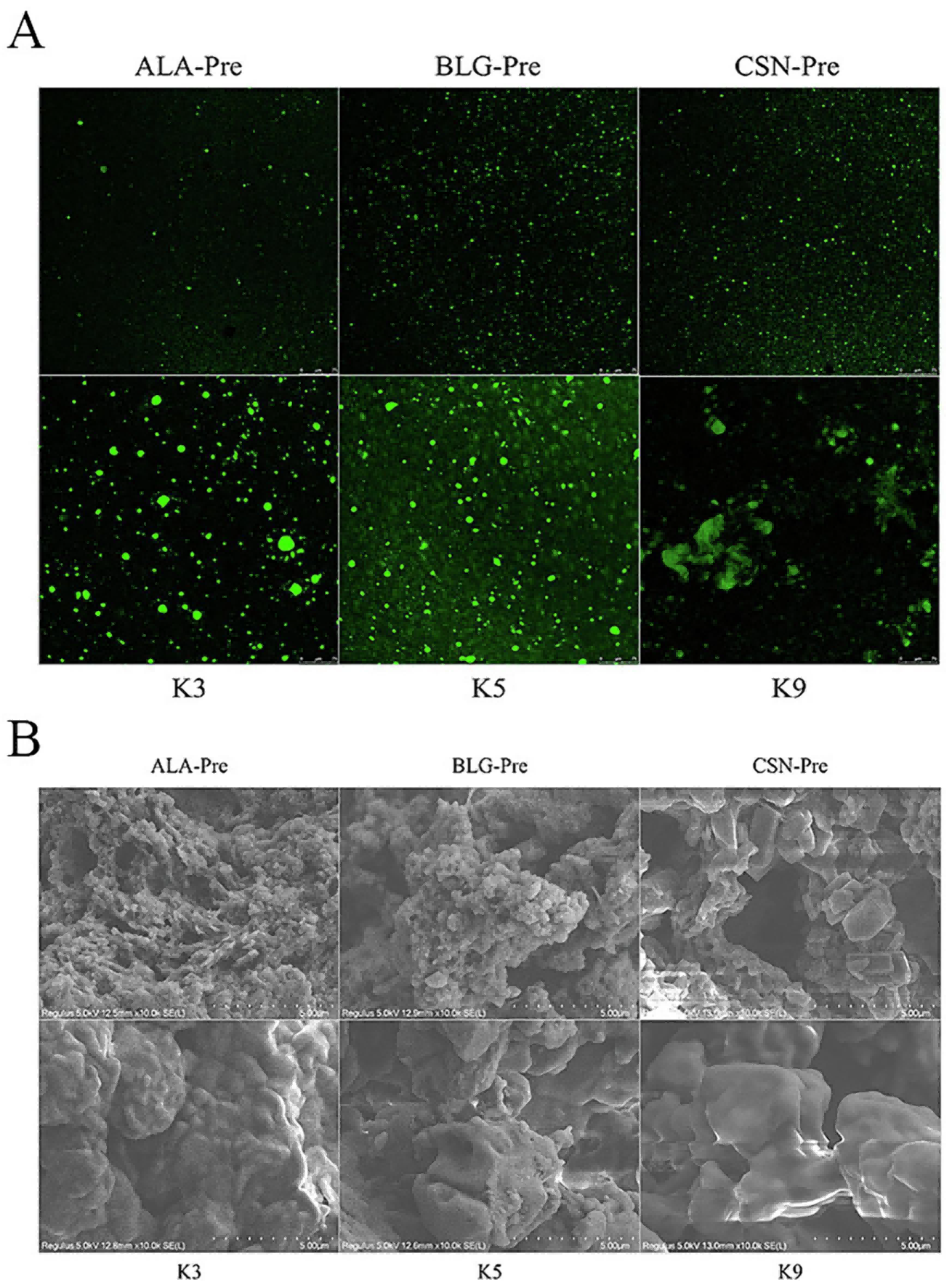 1721789543437453.png 微信圖片_20240510110039(1)(1).png