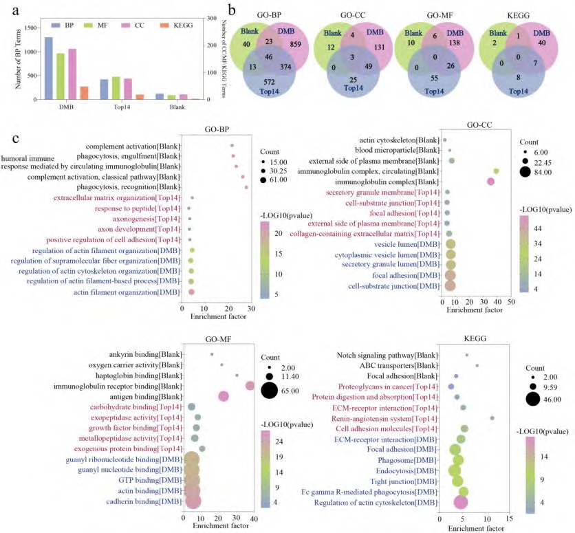 1721872525999230.png 第8頁(yè)-8.PNG