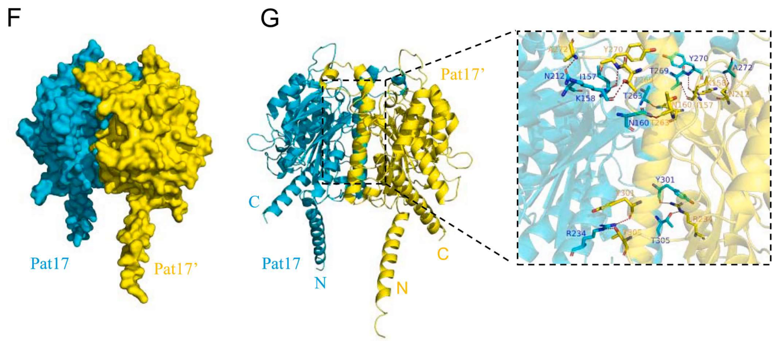 1721898560315153.png 微信圖片_20240229093813(1).png