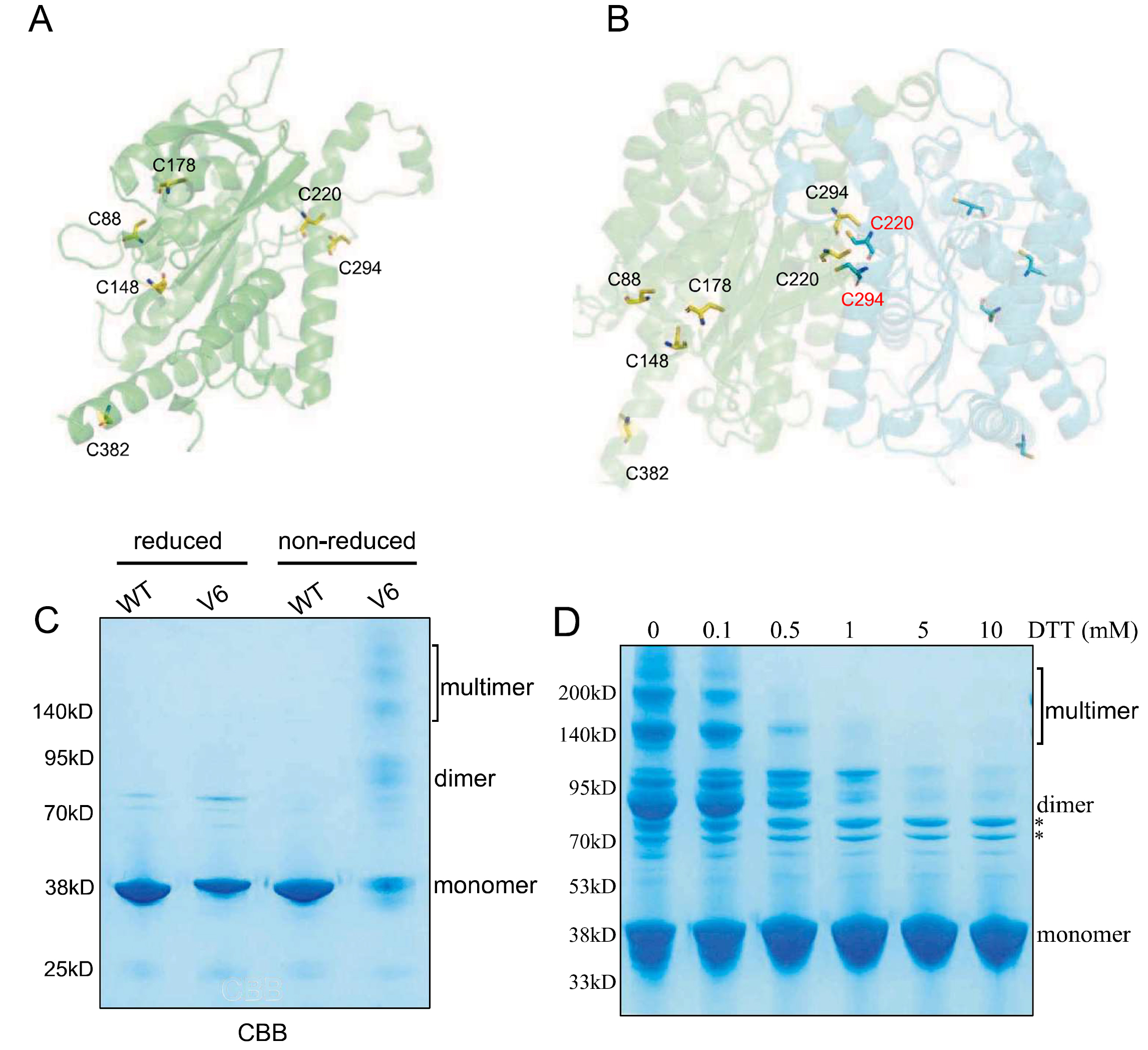 1721898628391734.jpg 微信圖片_20240229094852.jpg