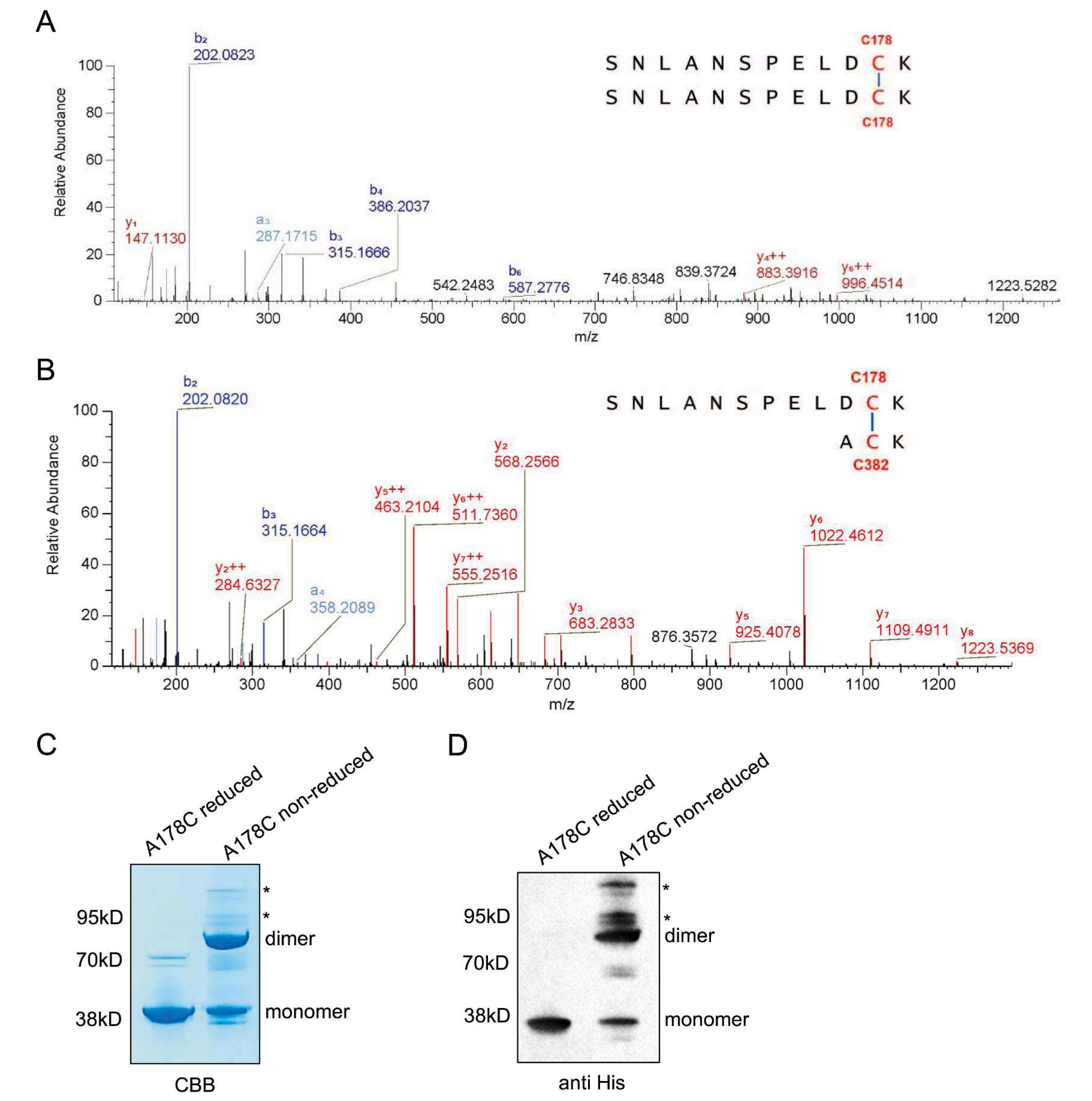 1721898724437003.png 微信圖片_20240229100950(1).png