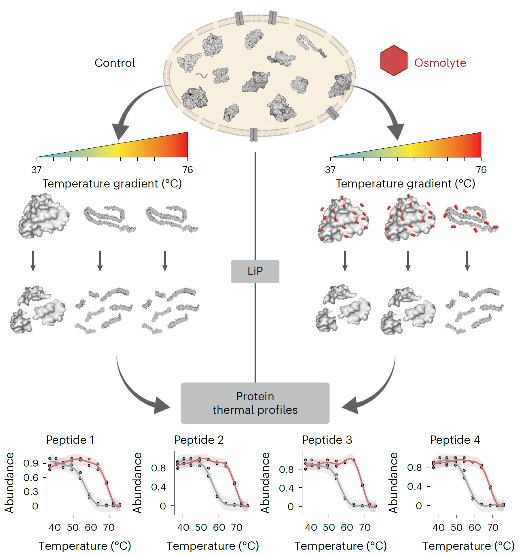 1725010113660570.jpg 微信圖片_20240829135124.jpg