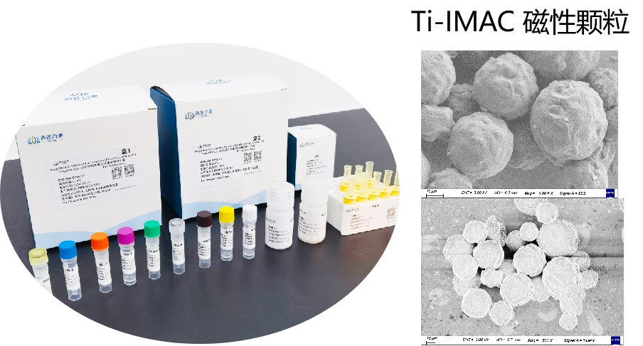 1725349027396348.png 圖片1.png