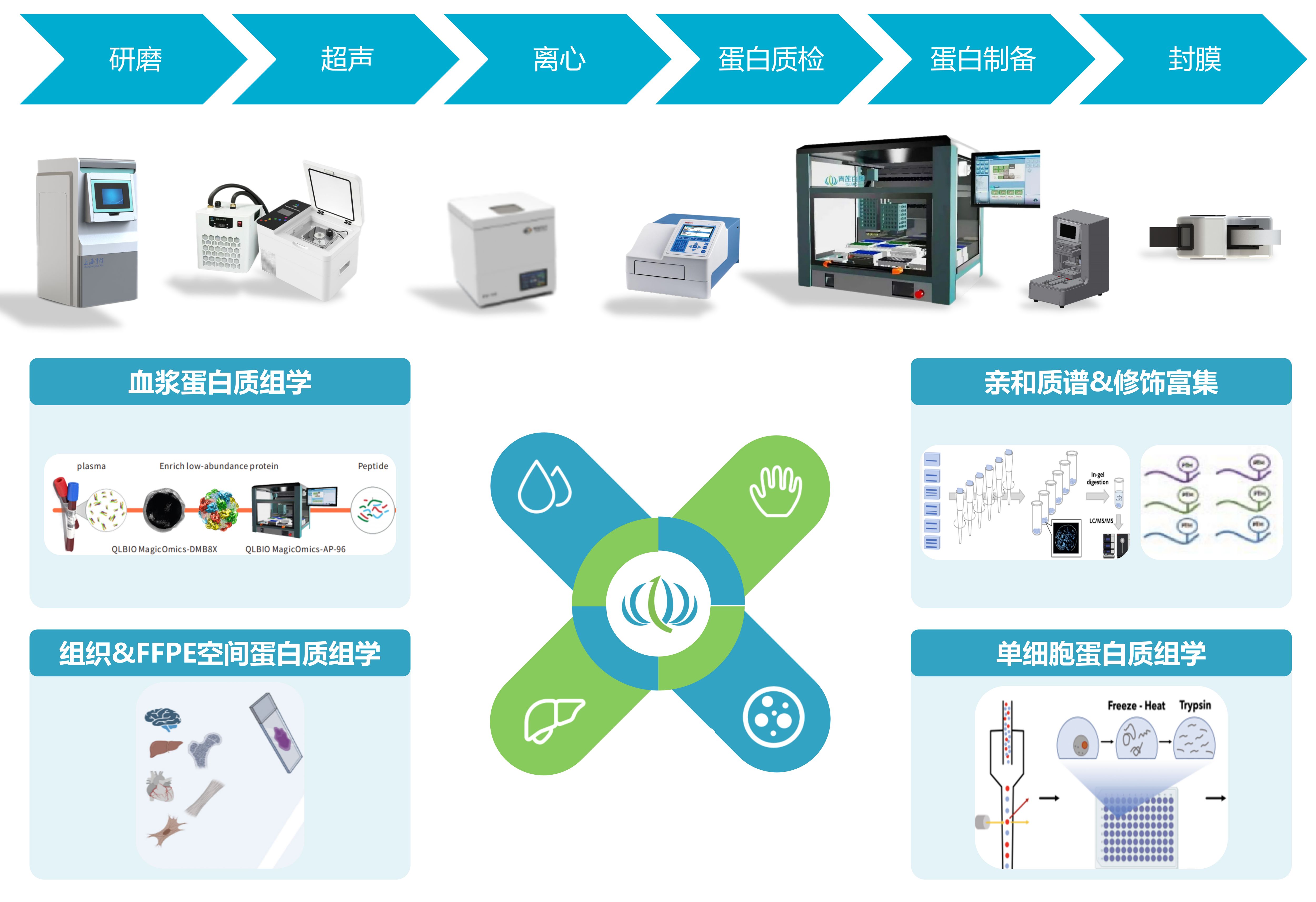 1725349201757794.jpg 未標題-1-1(1).jpg