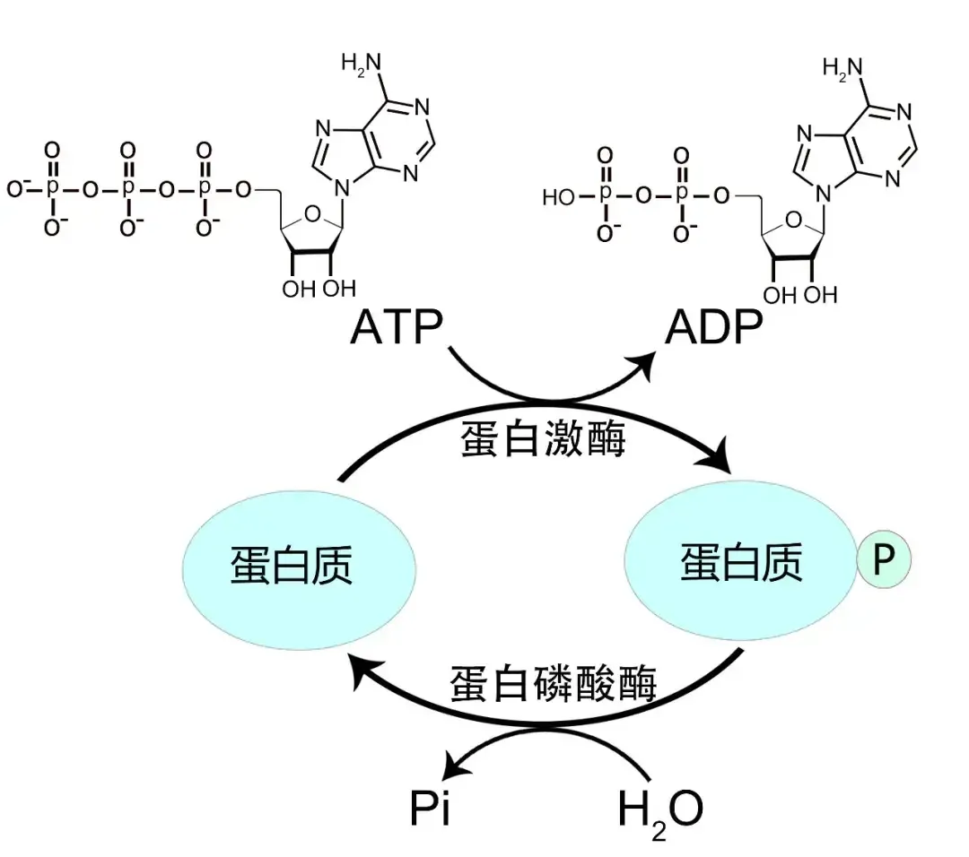 1725351073225867.png 圖片3.png